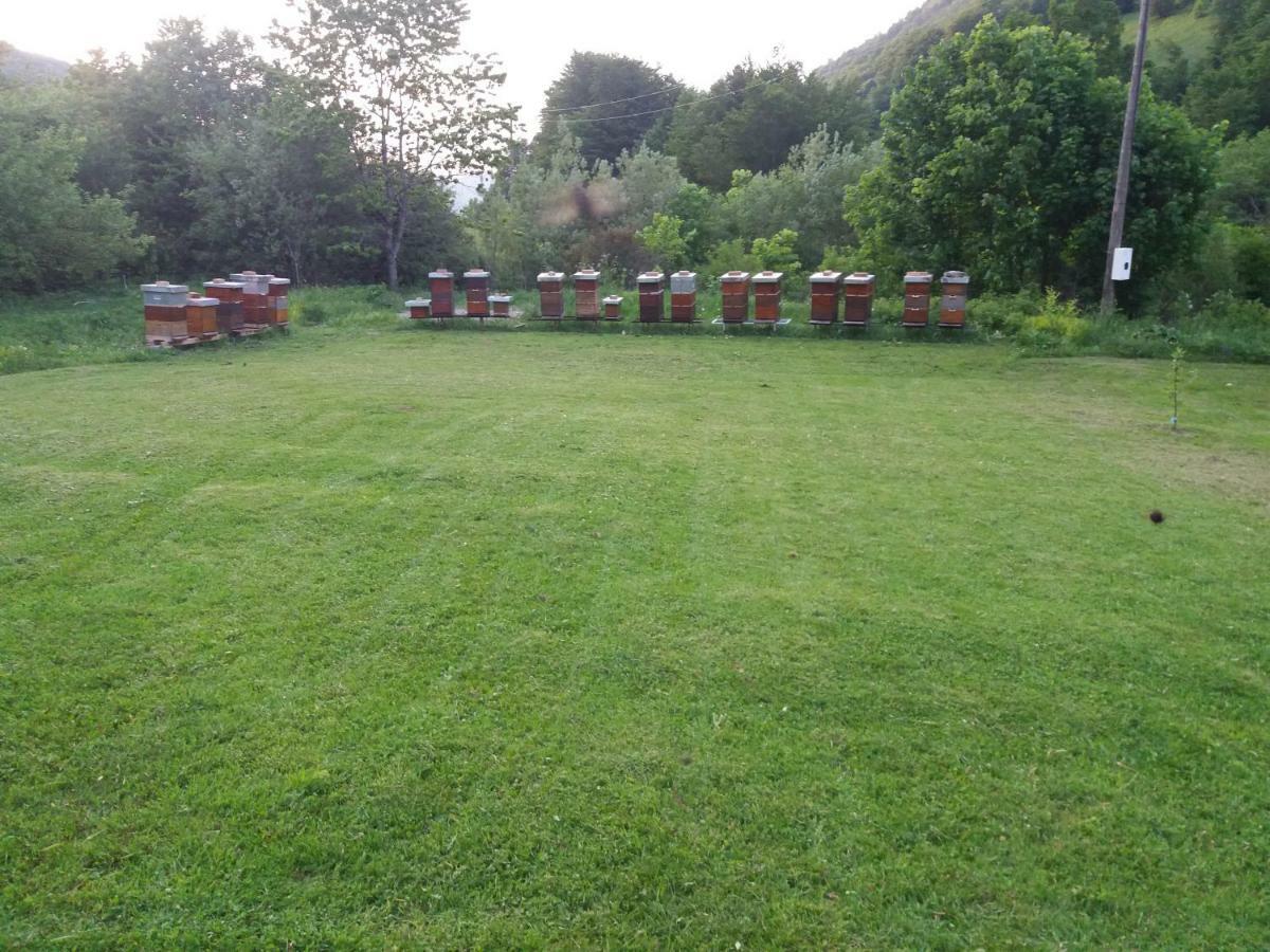 Vila Verusa Esterno foto